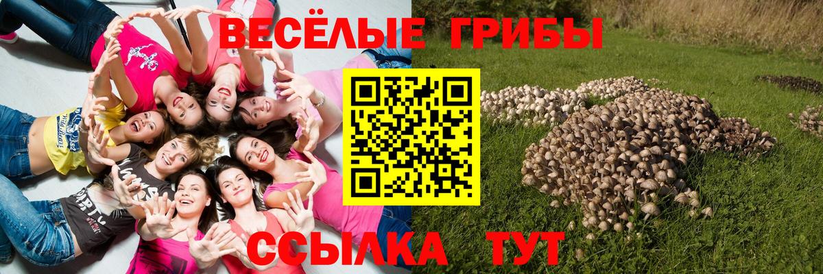 Галлюциногенные грибы мицелий Старая Купавна