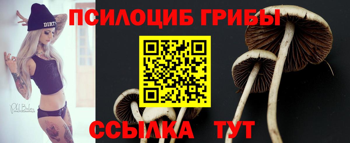 Псилоцибиновые грибы Psilocybe  Вход с VPN  Старая Купавна  Галлюциногенные грибы прущие грибы 